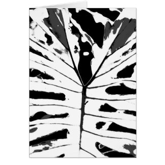 Monstereo Leaf Cards