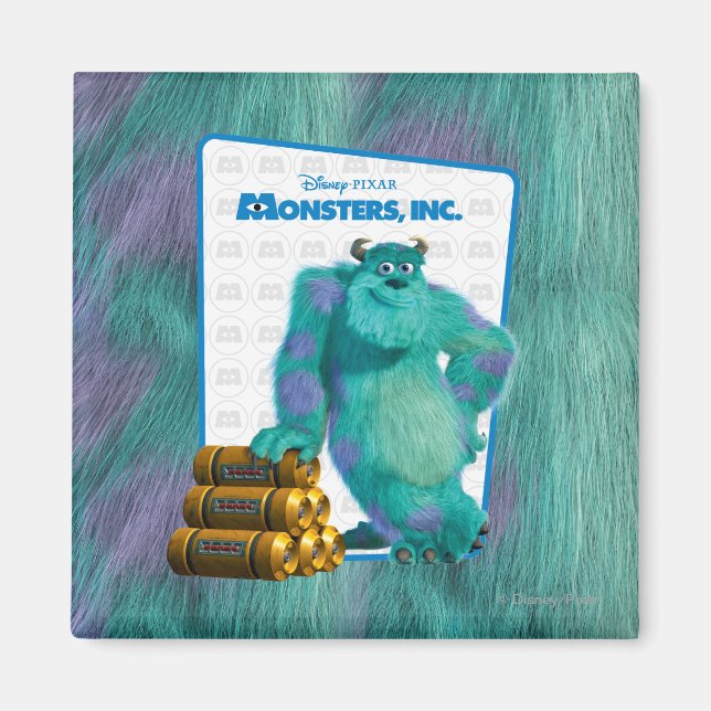Monsters, Inc. Sulley Magnet (Front)