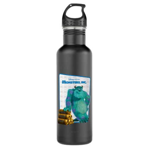 Monsters Inc Sulley Stainless Steel Water Bottle