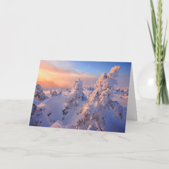 Mont Logan Sunrise Gaspesie National Park Quebec Card (Front)