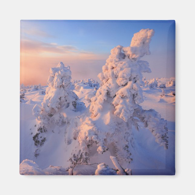 Mont Logan Sunrise Gaspesie National Park Quebec Magnet (Front)