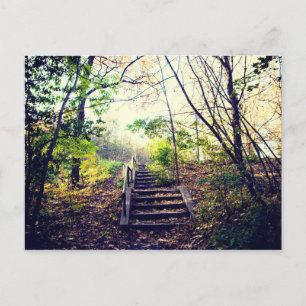 Mont-Royal automne Postcard