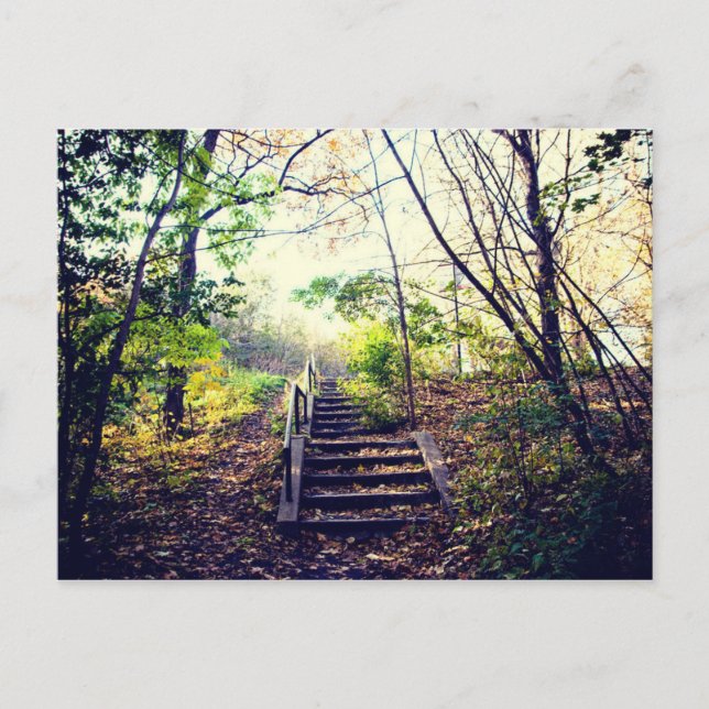 Mont-Royal automne Postcard (Front)