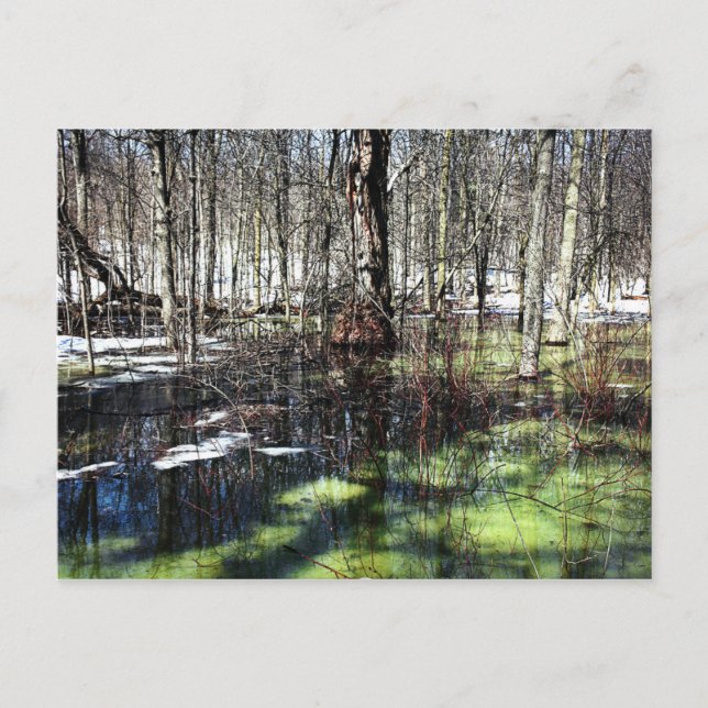 Mont-Royal Postcard (Front)