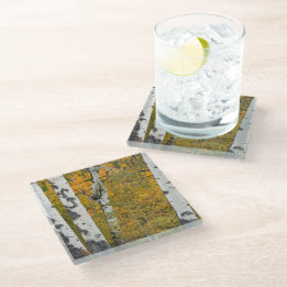 Montana Autumn Glass Coaster