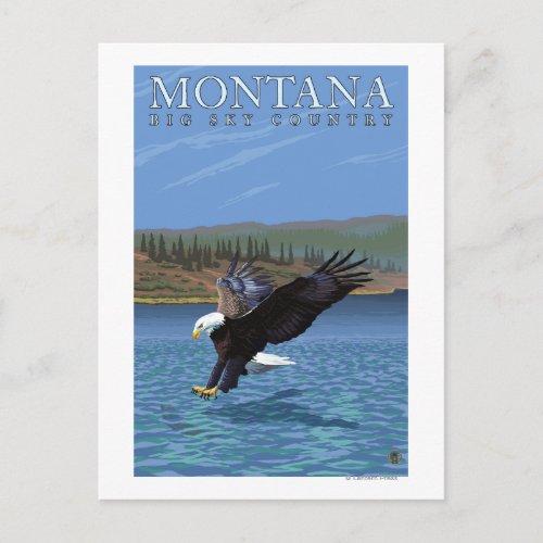 Montana __ Big Sky CountryDiving Eagle Postcard