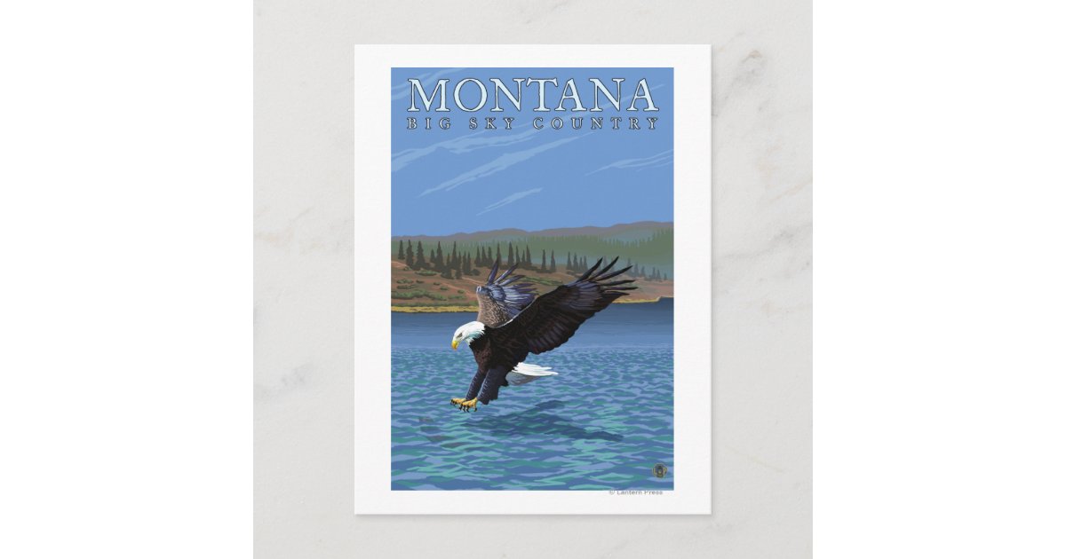 Montana -- Big Sky CountryDiving Eagle Postcard | Zazzle