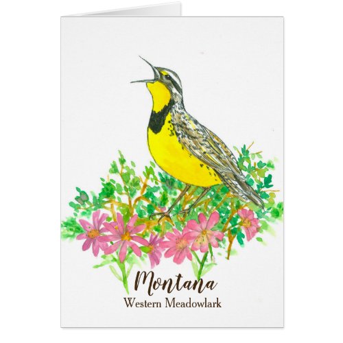 Montana Bird Western Meadowlark Bitterroot