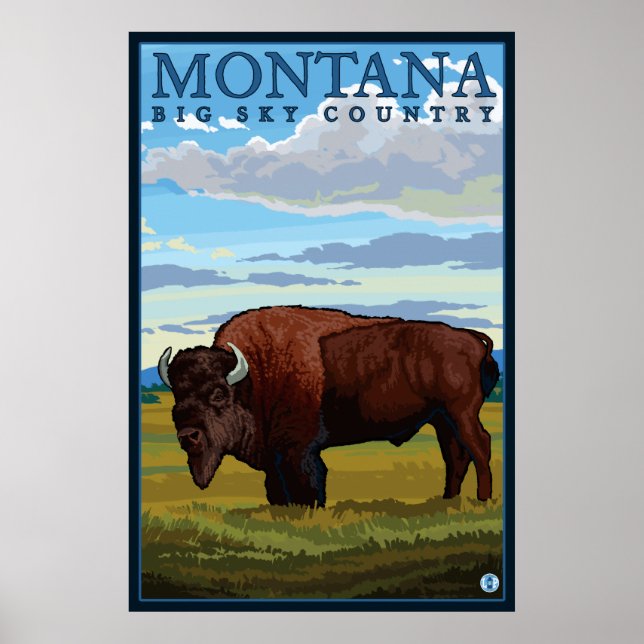 Montana - Bison Poster (Front)