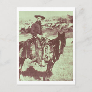 Montana Cowboy, c.1880 (b/w photo) Postcard