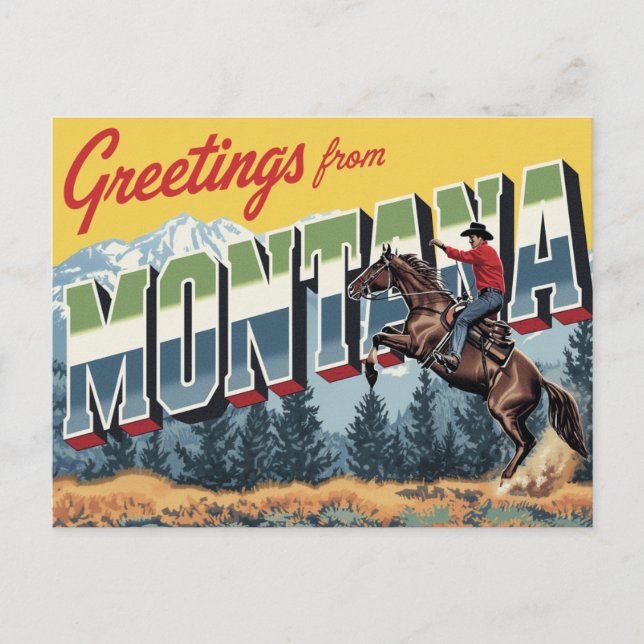Montana Cowboy Horse Postcard (Front)
