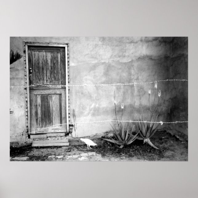 Montana de' Luz, Honduras Poster (Front)