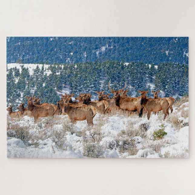 Montana Elk Herd Jigsaw Puzzle (Horizontal)