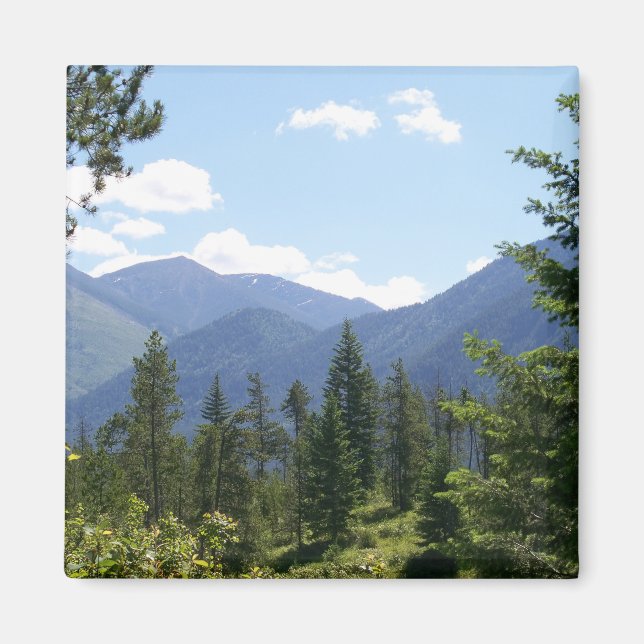 Montana Forest and Mountains Scenic View Magnet (Front)