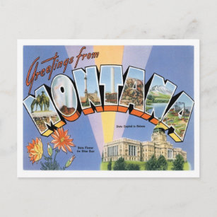 Montana Greetings From US States Postcard