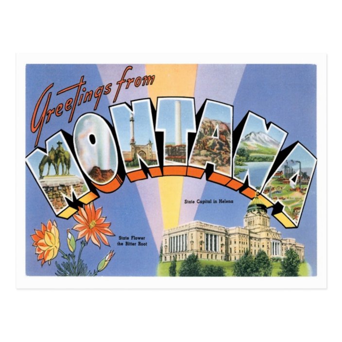 Montana Greetings From US States Postcard | Zazzle.com