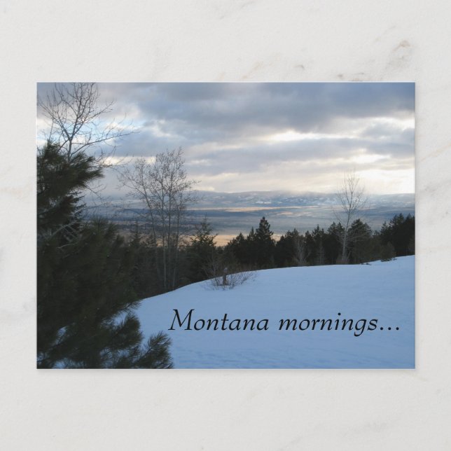 Montana Mornings 1 Postcard (Front)