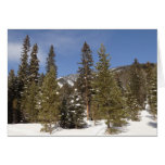 Montana Mountain Trails in Winter Landscape Photo