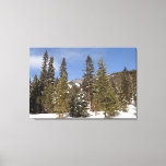 Montana Mountain Trails in Winter Landscape Photo Canvas Print