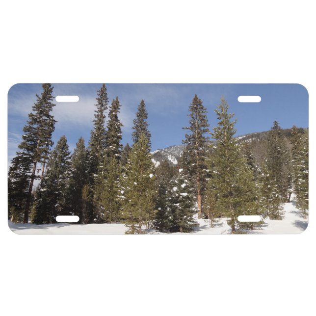 Montana Mountain Trails in Winter Landscape Photo License Plate (Front)