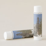 Montana Mountain Trails in Winter Landscape Photo Lip Balm