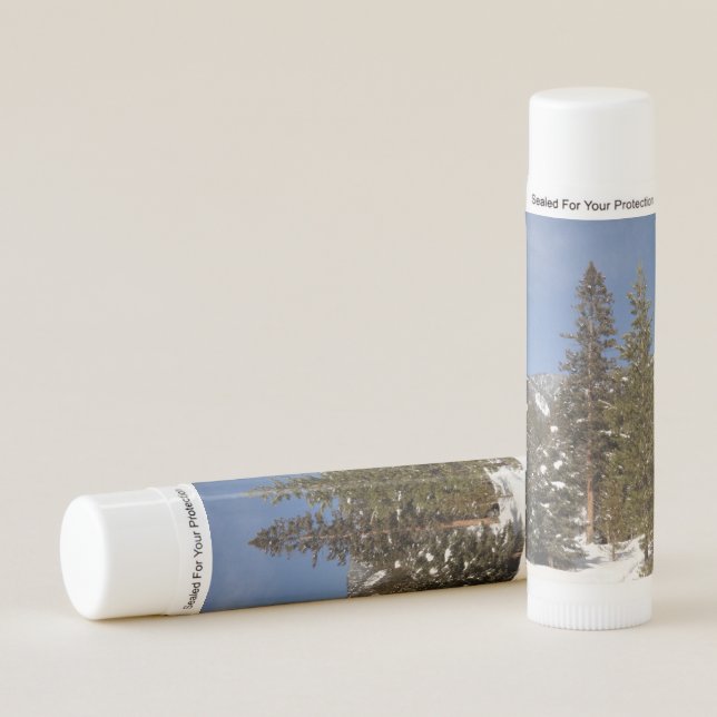 Montana Mountain Trails in Winter Landscape Photo Lip Balm (Front)