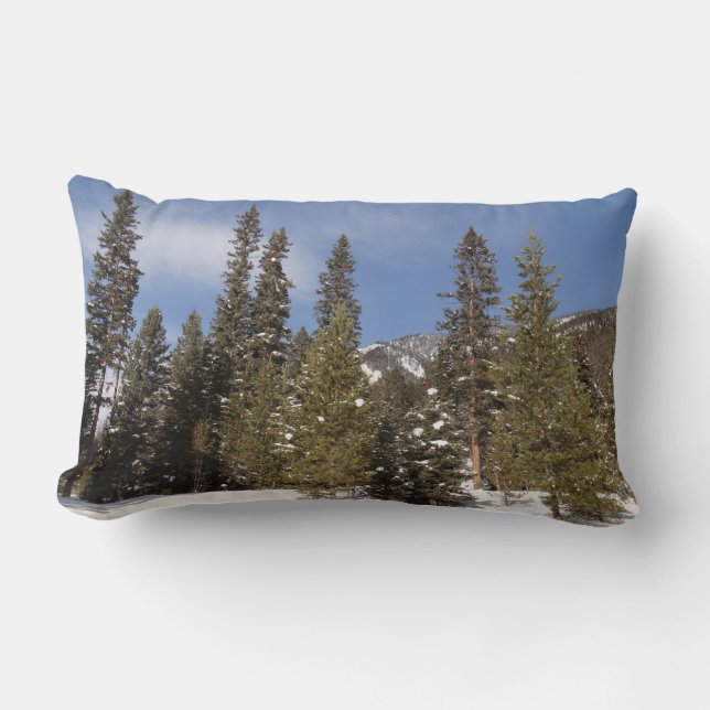 Montana Mountain Trails in Winter Landscape Photo Lumbar Pillow (Front)
