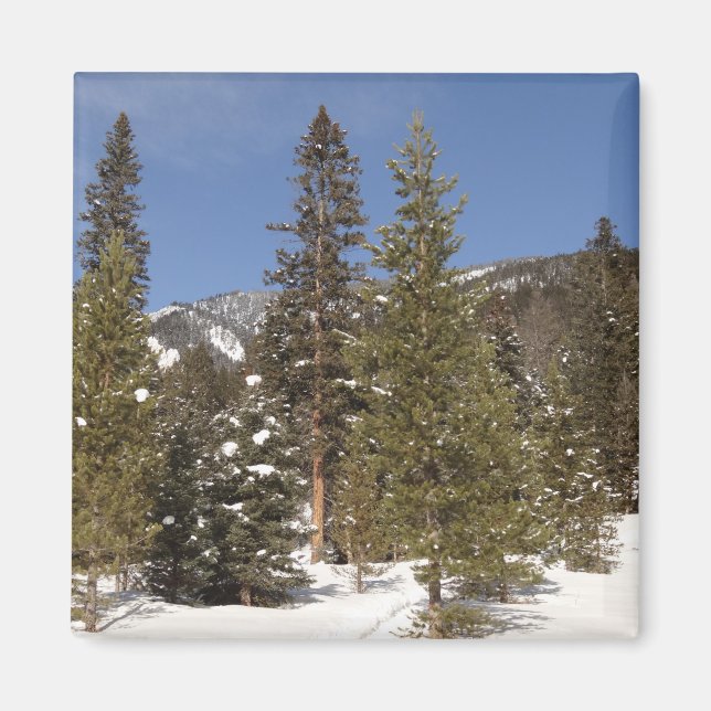 Montana Mountain Trails in Winter Landscape Photo Magnet (Front)