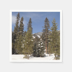 Montana Mountain Trails in Winter Landscape Photo Napkins