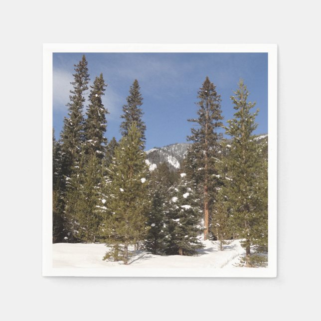 Montana Mountain Trails in Winter Landscape Photo Napkins (Front)