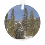 Montana Mountain Trails in Winter Landscape Photo Ornament