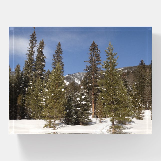 Montana Mountain Trails in Winter Landscape Photo Paperweight (Front)