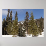 Montana Mountain Trails in Winter Landscape Photo Poster