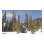 Montana Mountain Trails in Winter Landscape Photo Rectangular Sticker