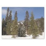 Montana Mountain Trails in Winter Landscape Photo Tissue Paper