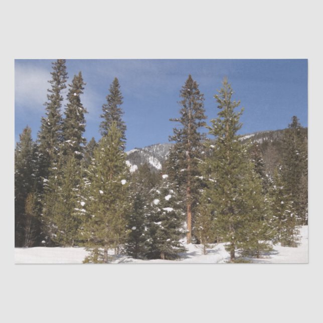 Montana Mountain Trails in Winter Landscape Photo Tissue Paper (Front)