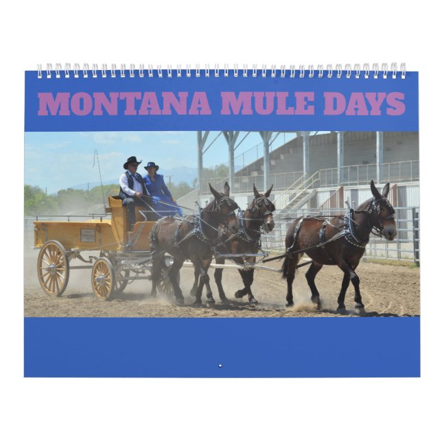 Montana Mule Days Calendar (Cover)
