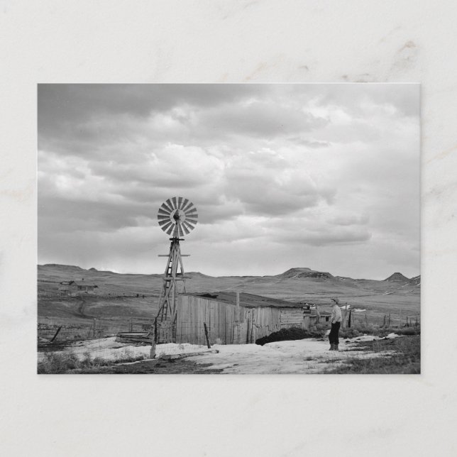 Montana Sheep Ranch, 1942 Postcard (Front)