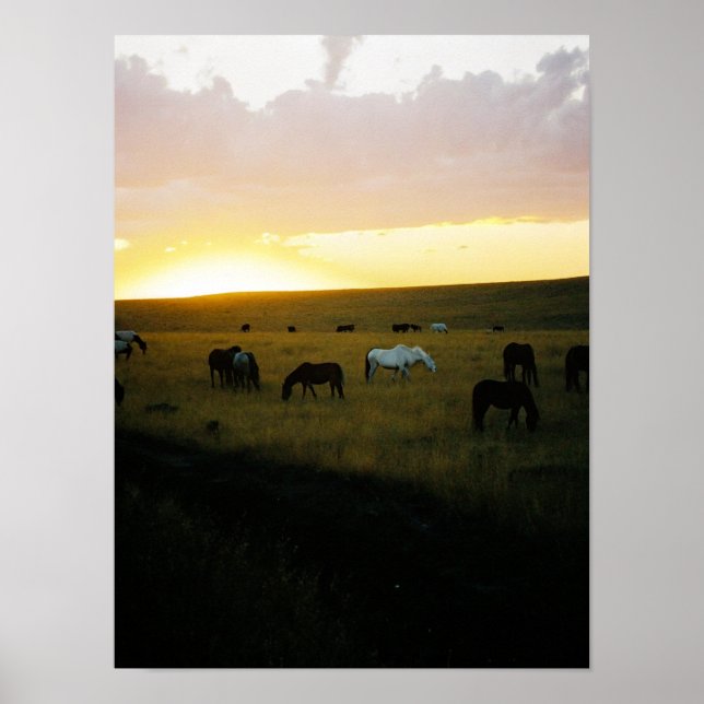 Montana Sky Poster (Front)