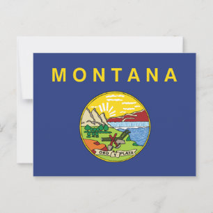 Montana State Flag Big Sky Country Oro Y Plata Postcard