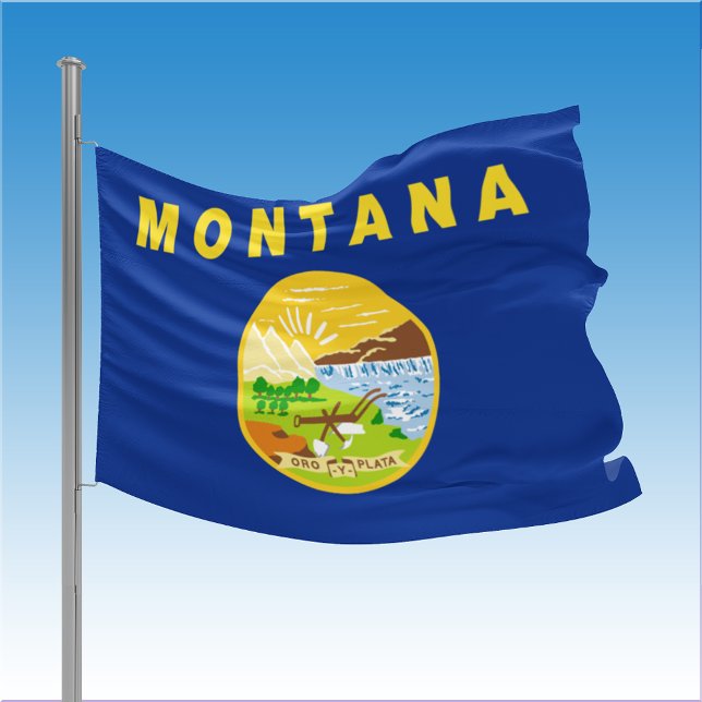 Montana State House Flag (Montana State House Flag)