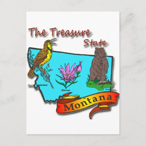 Montana Treasure State Bear Lark Flower Postcard