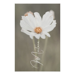 Montana White Wildflower Poster