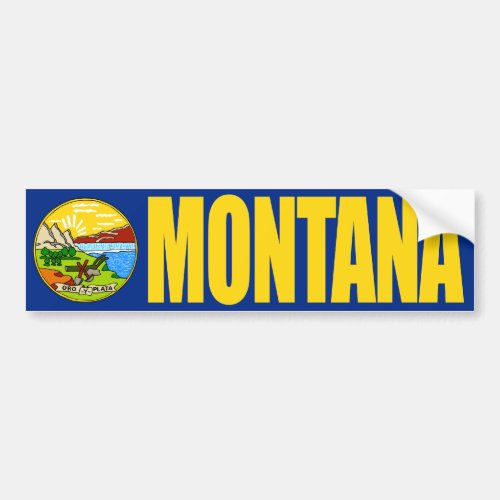 Montana with State Flag Bumper Sticker