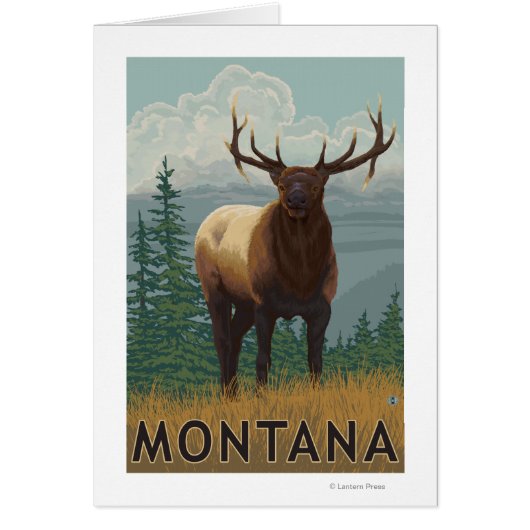 MontanaElk Scene Cards (Front)