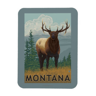 MontanaElk Scene Magnet