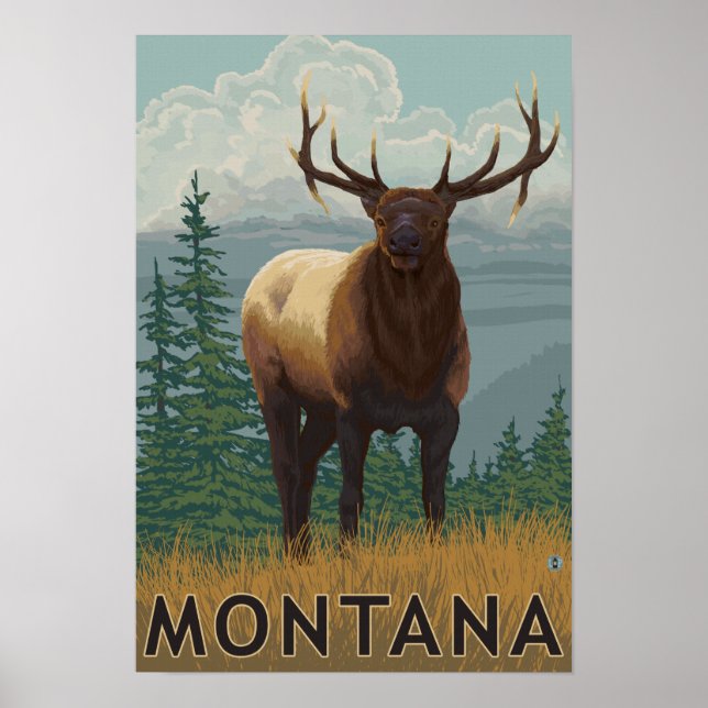 MontanaElk Scene Poster (Front)