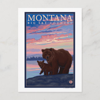 MontanaMomma Bear and Cub Vintage Travel Postcard