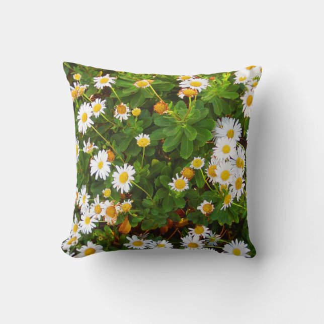 Montauk Daisies decorative throw pillow (Front)