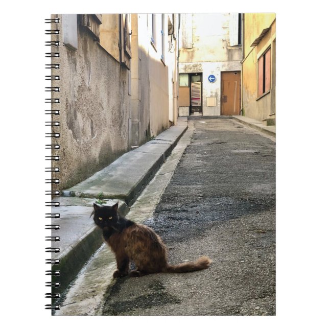 Montauk Salvage Co. / The French Cat Notebook (Front)